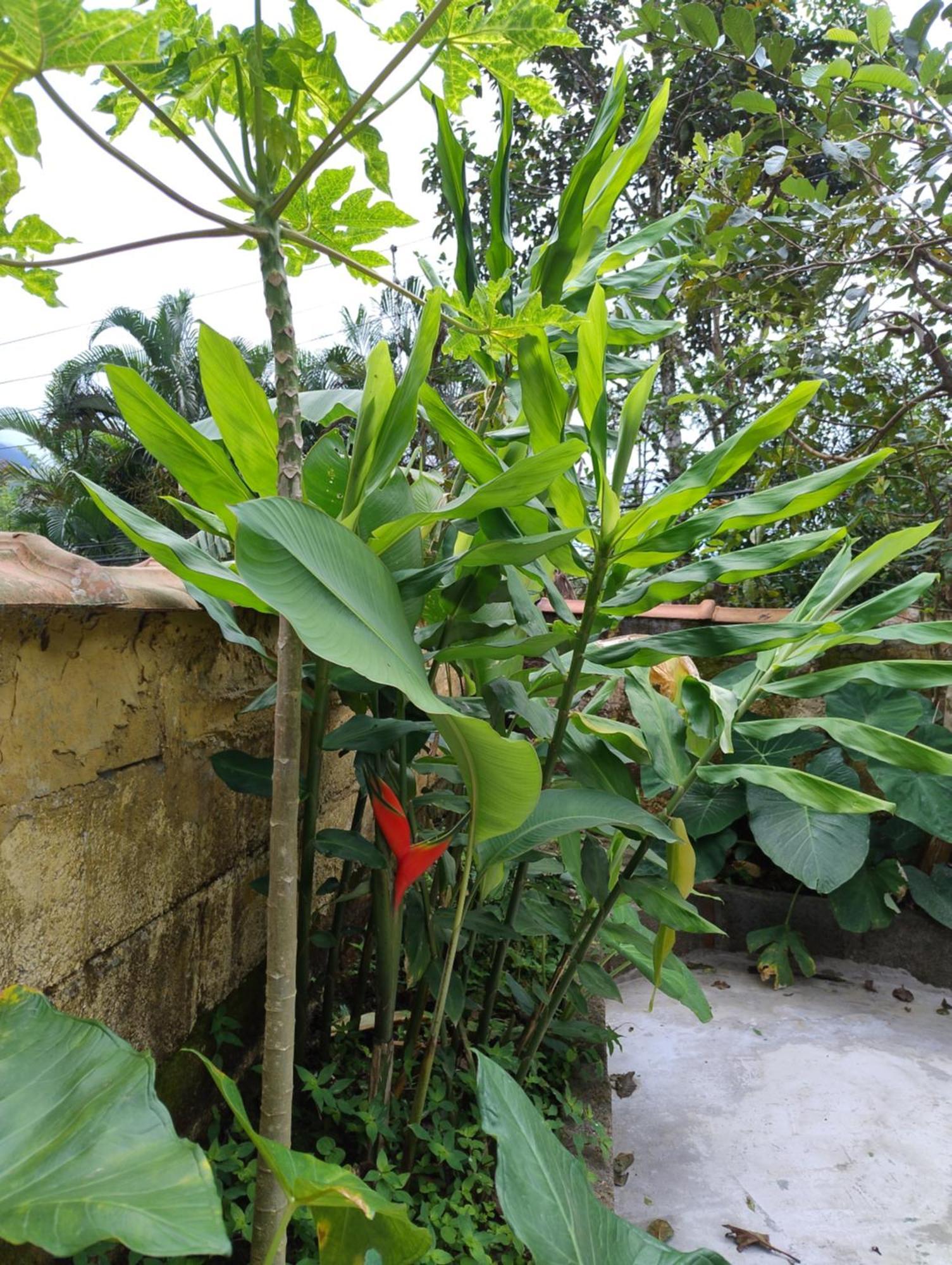Casa Sol *